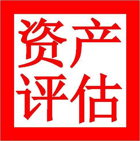 资产评估报告 无形资产评估报告